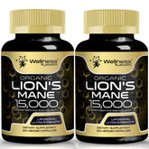 WELLNESS LABSRX Lions Mane capsules bottle 120-count for daily cognitive support.