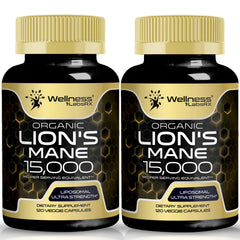 WELLNESS LABSRX Lions Mane capsules bottle 120-count for daily cognitive support.