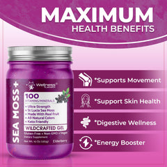 WELLNESS LABSRX Measuring spoon with sea moss, encourages simple, consistent use.