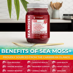 WELLNESS LABSRX Mineral-rich gel close-up showing nutrient variety