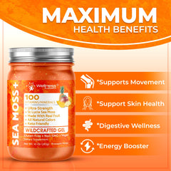 WELLNESS LABSRX seamoss raw jar 10oz shown for pantry-ready nutrition.