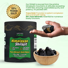 Visible gold flecks in Wellness Nest Shilajit Resin signaling premium formulation