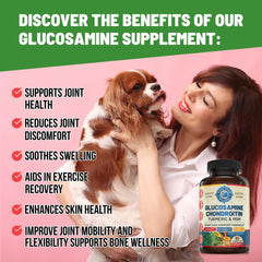 Whole World Wellness turmeric boswellia glucosamine ingredients highlight joint support