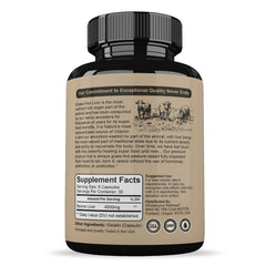 Wholesome Wellness liver capsules close-up showing easy-to-swallow design