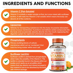 Wholesome Wellness liposomal vitamin C capsules ingredients sunflower lecithin for liposome absorption.