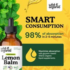 Amber bottle close-up of lemon balm tincture promoting gentle use