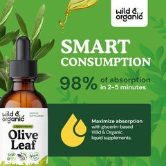 Wild & Organic glycerin-based base image emphasizes sugar-free sweetness and gentle digestion