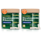 Windboss Liposomal NAD+ bottle highlights enhanced absorption for daily energy.
