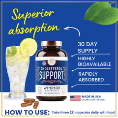 WINDSOR BOTANICALS cholesterol ingredients label highlights citrus bergamot, berberine, and other naturals.