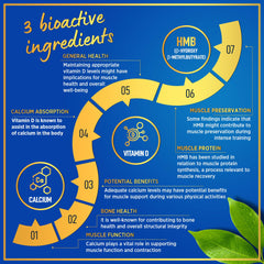 WINDSOR BOTANICALS HMB D3 daily dose supports workout consistency