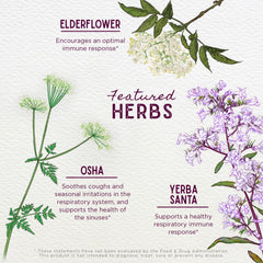 Close-up of Elder Flower and Echinacea in Kick-It Immune for Kids.