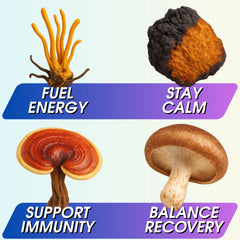 Wonder Family reishi chaga shiitake mushrooms with earthy flavor