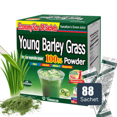 Yamakan Young Barley Grass Powder bottle with vibrant greens for daily wellness