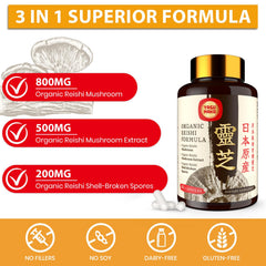 Yasumako Reishi capsules pack demonstrates convenient daily capsules
