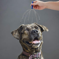 Yeipis handheld scalp scratcher eases neck and shoulder tension