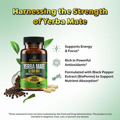 Yerba Mateine BioPerine-absorption closeup boosts uptake