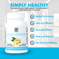 Yes You Can probiotics ginger peppermint ingredients highlight soothing digestion