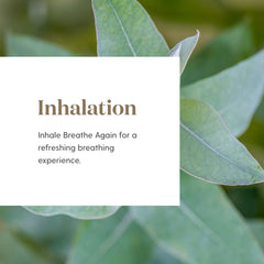 Young Living Breathe Again with Myrtle scent blend ideal for quick nasal comfort.