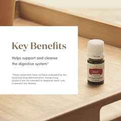 Young Living Digize aroma in diffuser for soothing ambiance.