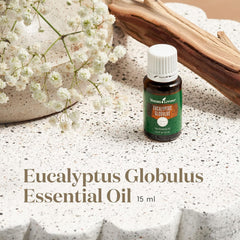 Young Living Eucalyptus Globulus 15ml bottle ideal for topical dilution and massage.