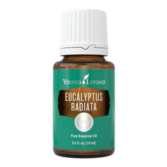 Young Living Eucalyptus Radiata 15ml bottle — vibrant aroma for quick refresh.
