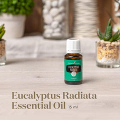 Young Living Eucalyptus Radiata diffuser mist — energizing atmosphere.