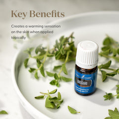 Young Living Oregano oil diffuser scene showcasing herbaceous aroma filling the room