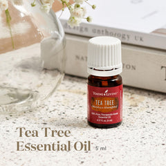 Young Living Tea Tree Oil leaves image highlights natural cleansing and revitalizing properties.