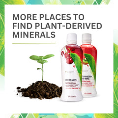 Liquid minerals shown in a glass, ready to mix.