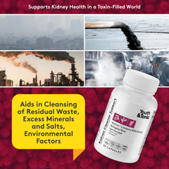 Youth & Tonic 3X Body Cleanse label detail emphasizes Milk Thistle and Cranberry blend for organ support.