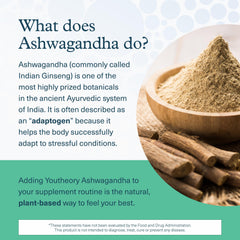 Youtheory Ashwagandha + GABA label detail emphasizes organic ingredients