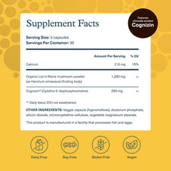 Close-up of Youtheory Lion’s Mane+ capsules highlighting vegetarian formula for focus.