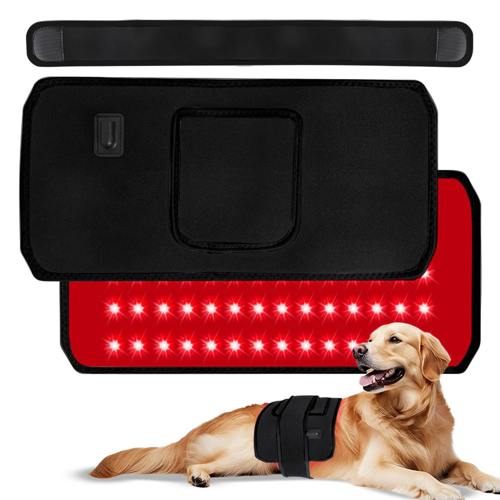 ZAEXAE infrared therapy belt in use on a dog for targeted joint relief