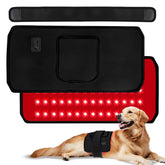 ZAEXAE infrared therapy belt in use on a dog for targeted joint relief