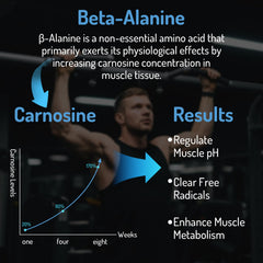 Zaigon beta alanine 2000mg packaging signaling clean professional-grade supplement