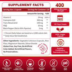 ZEBORA CoQ10 capsules close-up shows veggie capsule form for digestion.