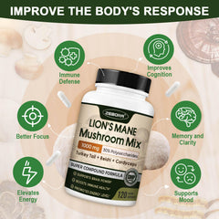 ZEBORA Lions Mane on shelf display signals a trusted daily supplement choice.