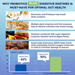 ZEBORA Probiotics prebiotics-fiber – feeds good bacteria for lasting gut health.