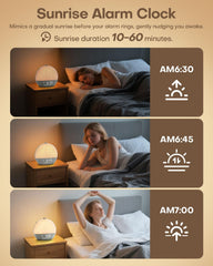 Zelaclock Sunrise Alarm Clock night light on providing soft ambient glow without glare.