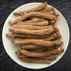Zen Ginseng close-up of long, slender root, highlighting premium quality.