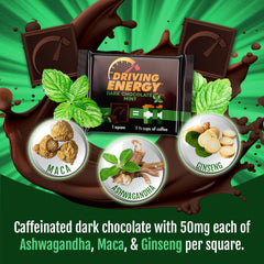 ZenEvo adaptogen blend with Ashwagandha, Maca, Eleuthero for balanced energy