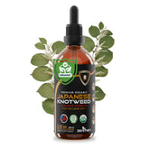 Zenmen knotweed tincture bottle showing premium formula for daily immune support
