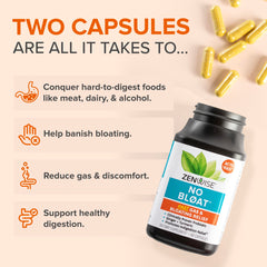 Zenwise No Bloat turmeric-ginger blend, a sensory boost for gut comfort after meals.