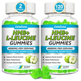 Zetelixia HMB and Leucine gummies bottle with green apple flavor for daily recovery.