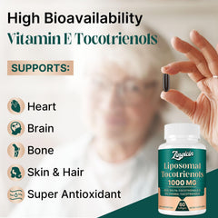Graphic illustrating Zingicin liposomal delivery technology