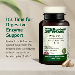Graphic of Zymex II digestive enzymes supporting GI function