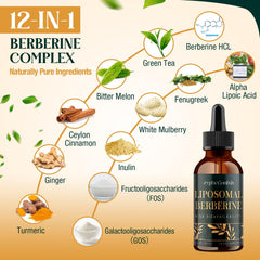 Zypherionixis amber glass bottle houses berberine drops for a clean sugar-free formula.