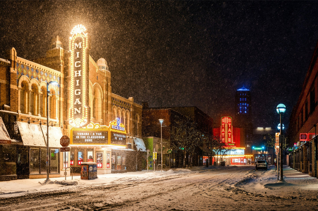 Cover for Michigan Winter: Checking Overlap in Vitamin and Immune Products
