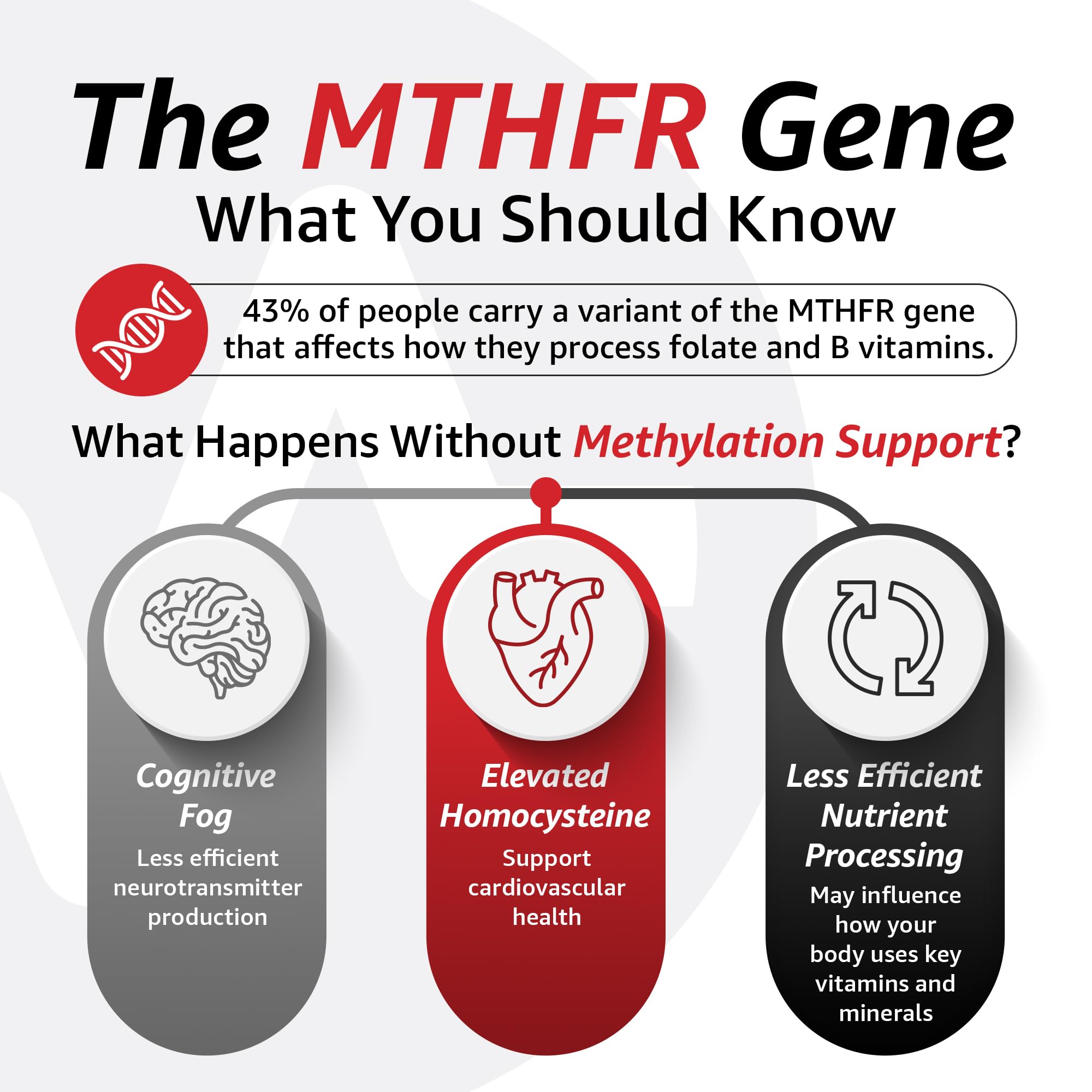 USA-made badge visible on 10X Health System Optimize Multivitamin for Men packaging.