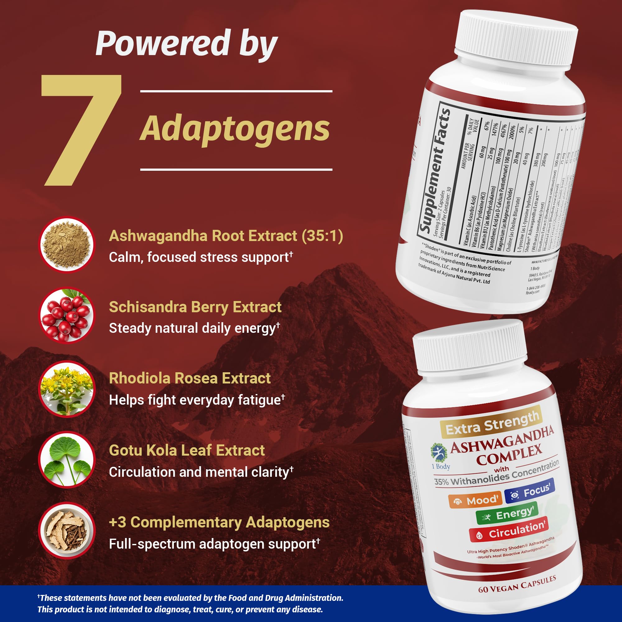 1Body Shoden Ashwagandha packaging box on kitchen counter.